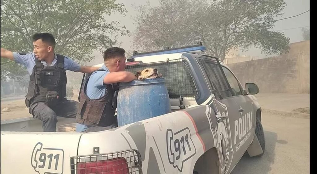 FB IMG 1726795548823