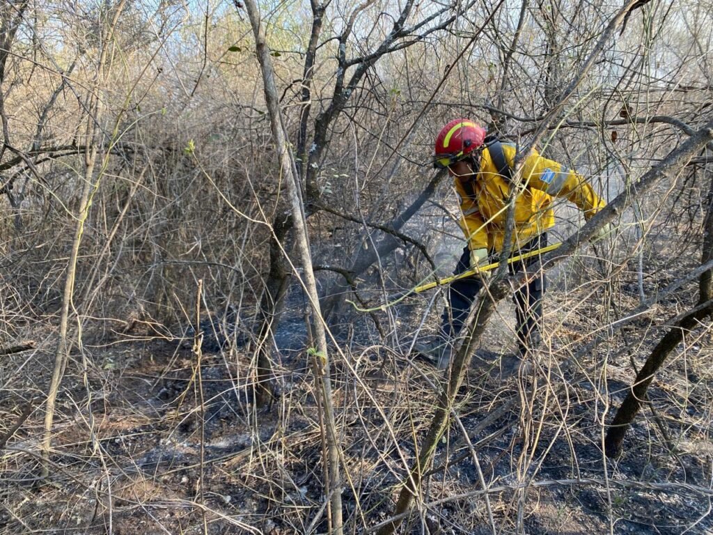 IMG 20240926 WA0174 1