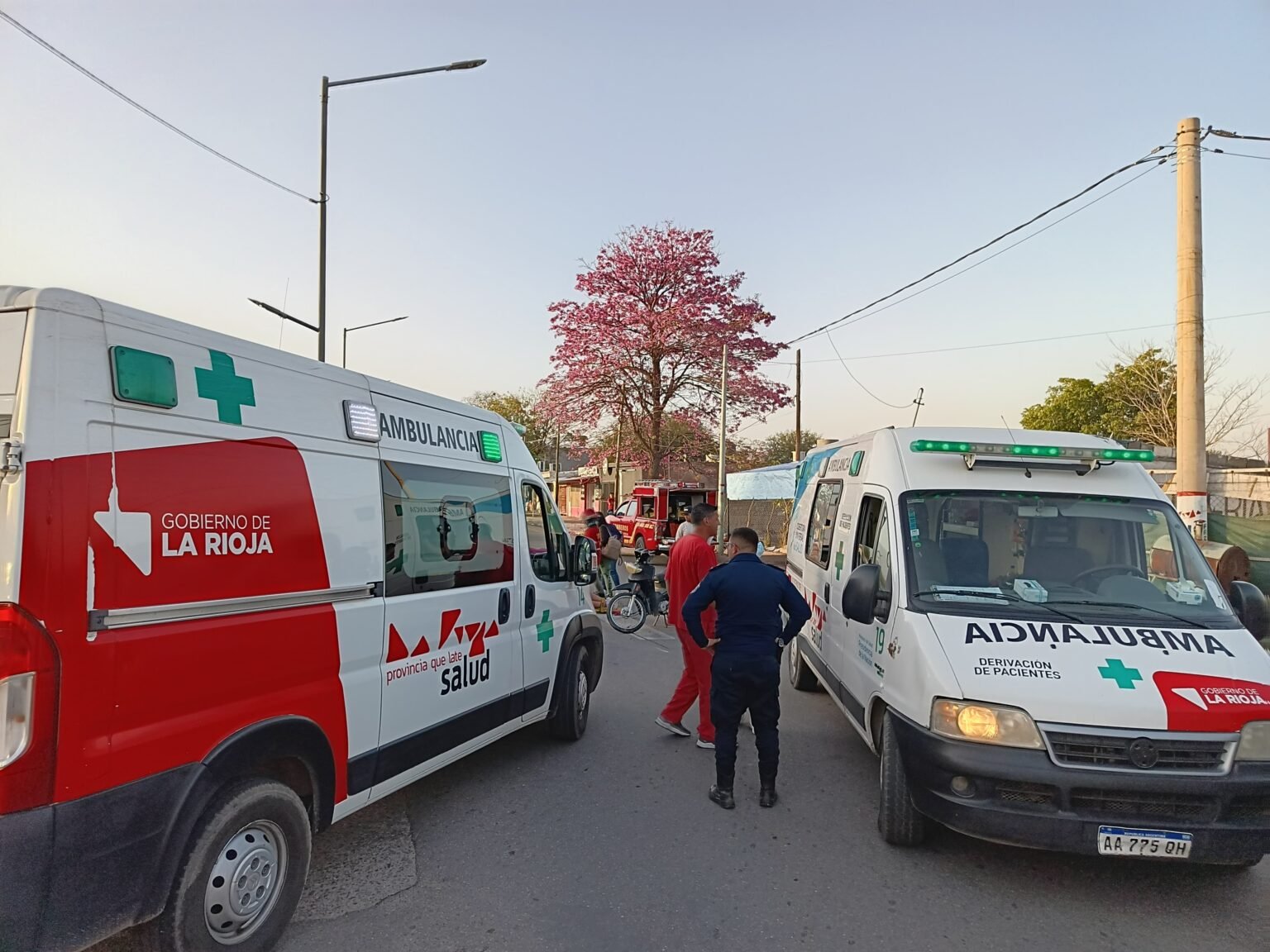 WhatsApp Image 2024 09 03 at 8.37.41 PM