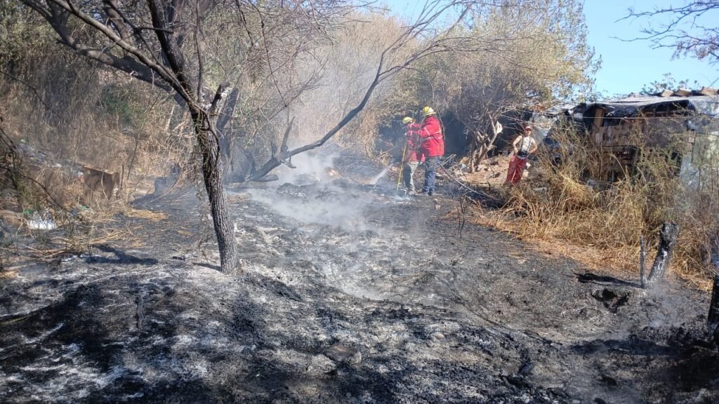 Detuvieron a sujeto tras haber provocado un incendio WhatsApp Image 2024 09 10 at 11.58.50 AM