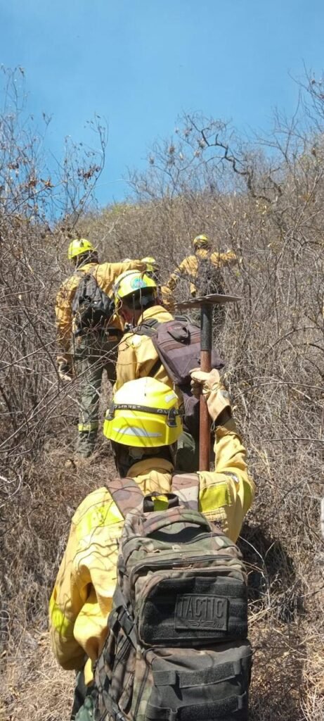 WhatsApp Image 2024 09 29 at 10.45.47 PM