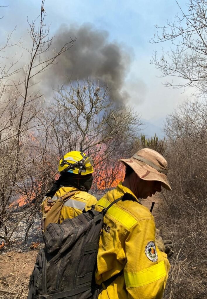 WhatsApp Image 2024 10 02 at 2.28.46 PM