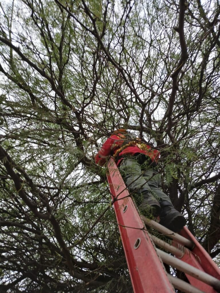 WhatsApp Image 2024 10 15 at 8.28.01 PM