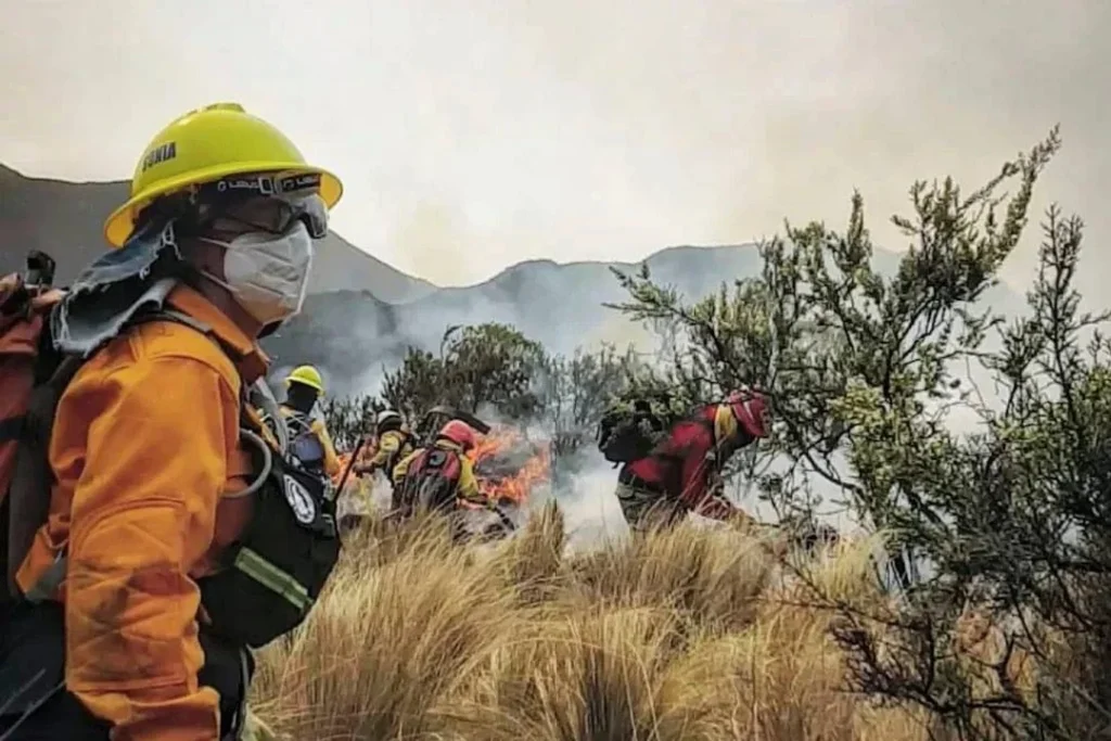 incendios 1