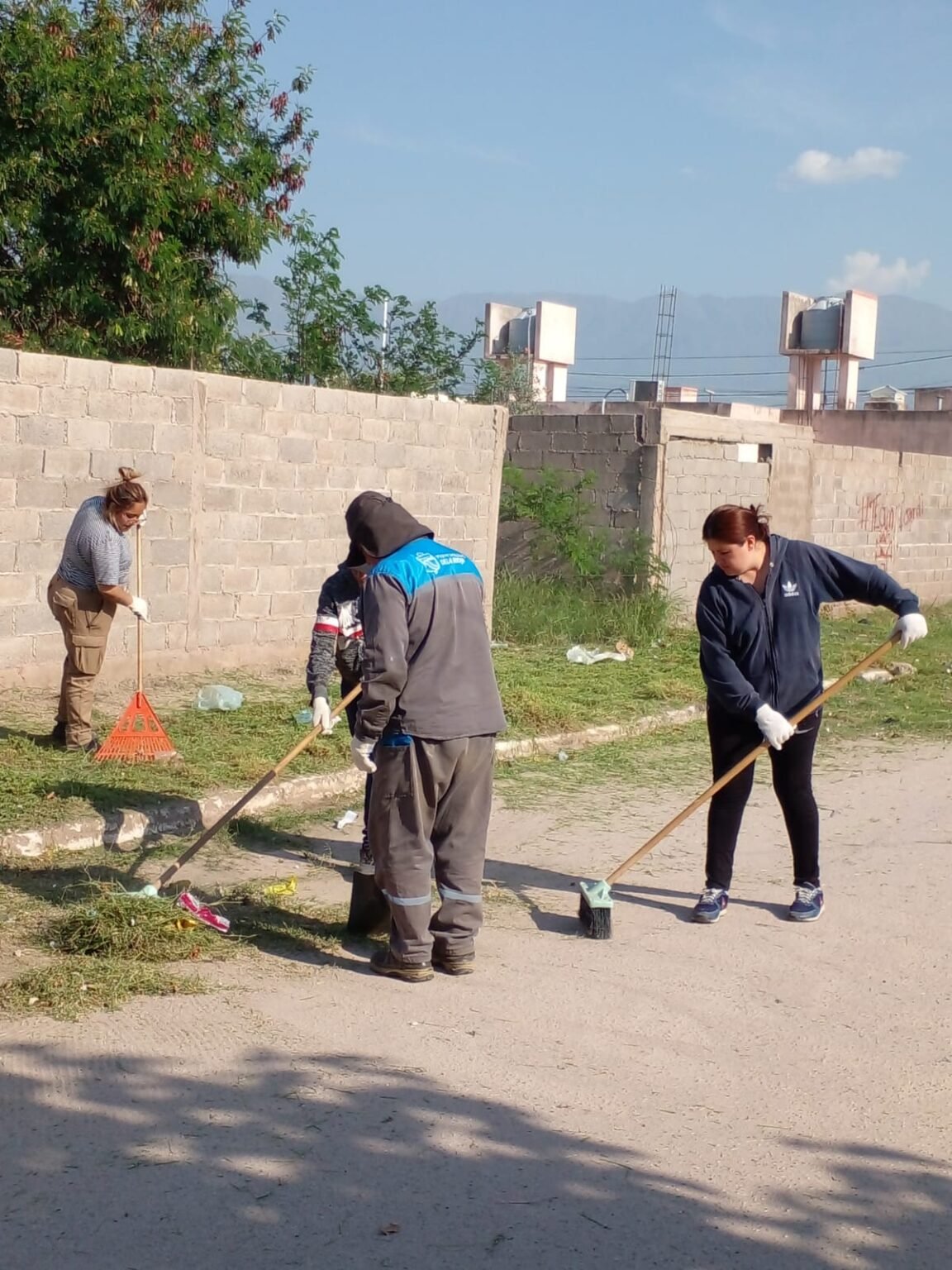 WhatsApp Image 2024 11 01 at 6.41.33 PM