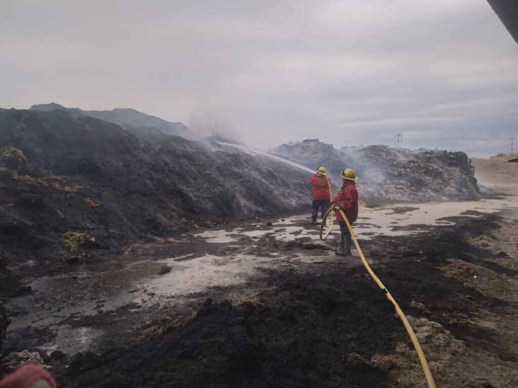 Incendio en una finca consumió alimento para engorde de animales y fardos de algodón WhatsApp Image 2024 11 25 at 11.09.10 AM
