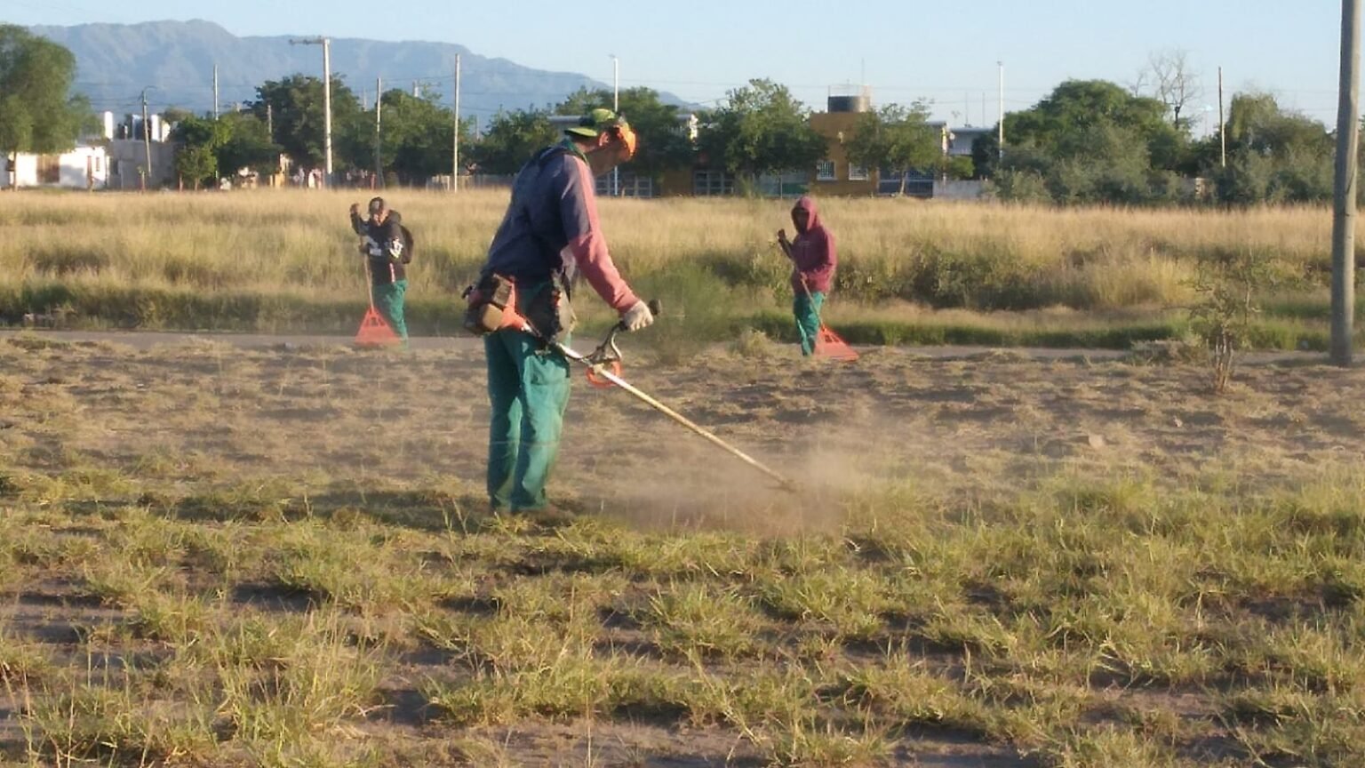 Continúan desplegando operativos para concientizar sobre el dengue y erradicar criaderos de mosquitos IMG 20241221 WA0046