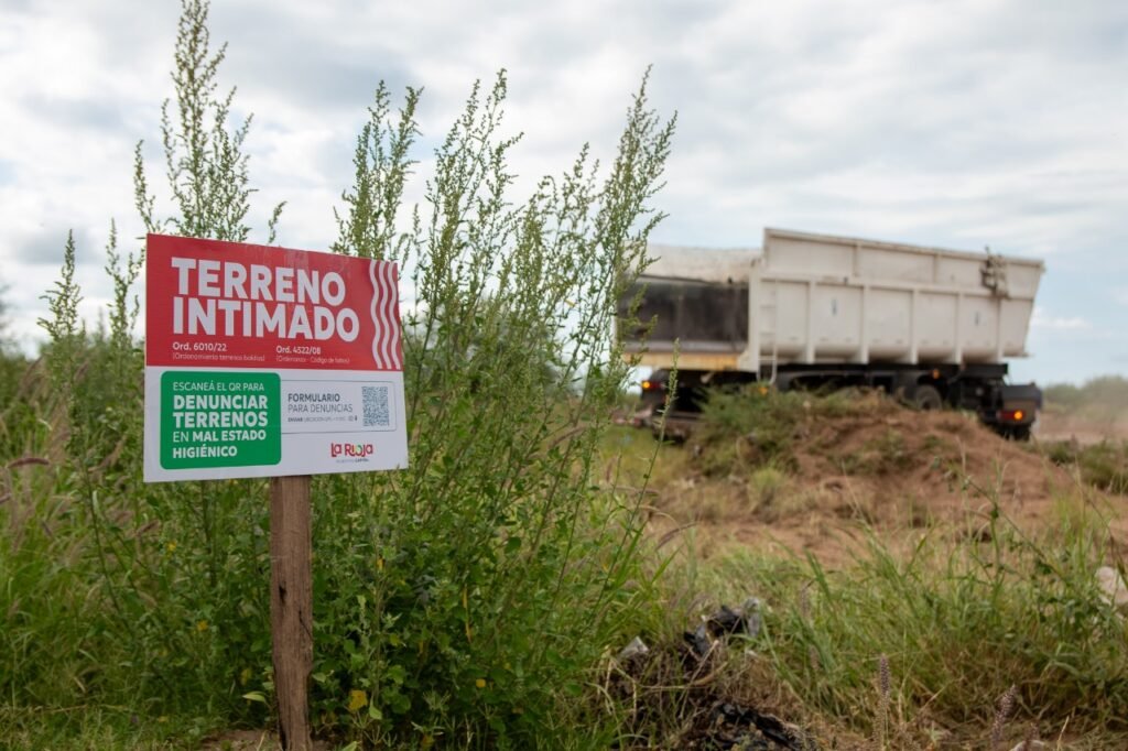 WhatsApp Image 2024 12 06 at 12.49.52 PM