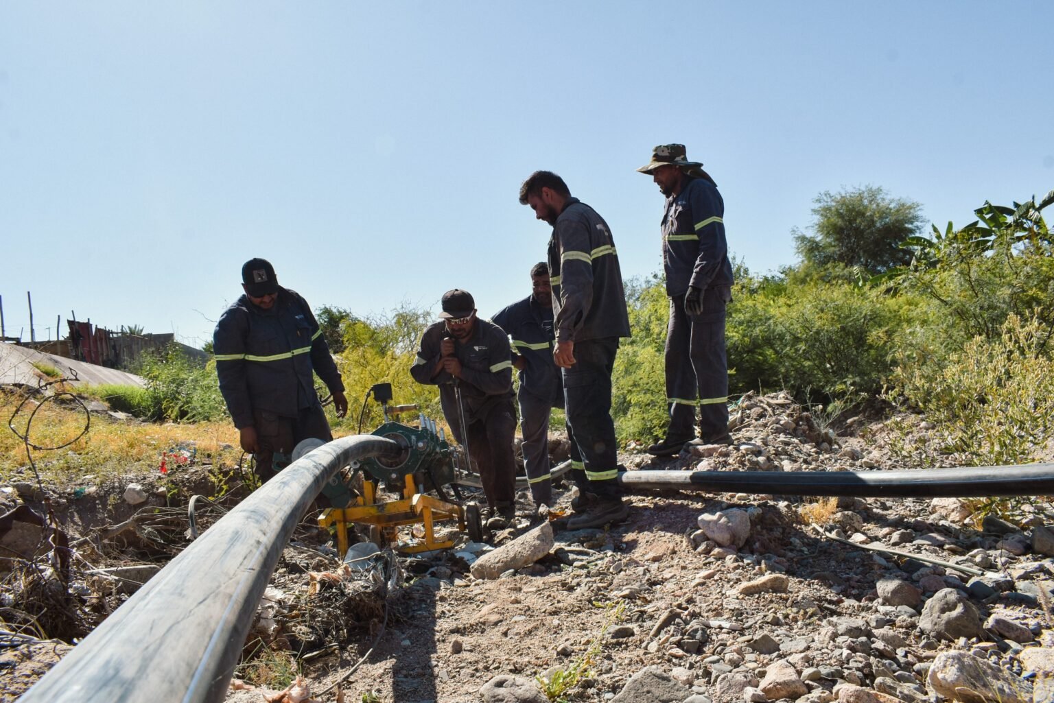 WhatsApp Image 2024 12 10 at 10.43.18 AM