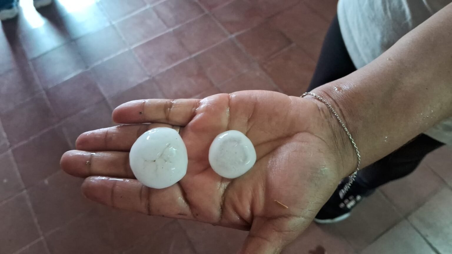 WhatsApp Image 2024 12 18 at 10.11.26 AM 1