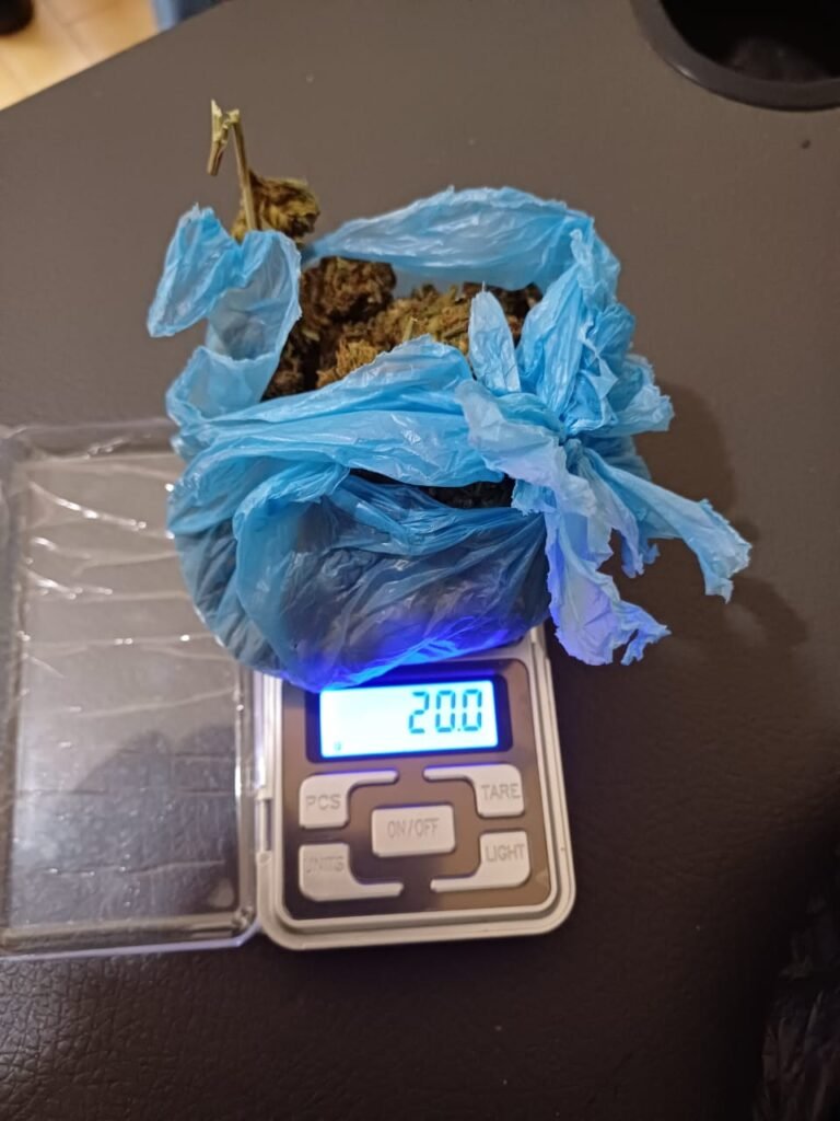 WhatsApp Image 2024 12 24 at 10.42.55 AM 1