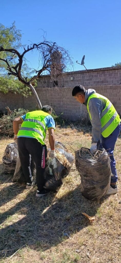 WhatsApp Image 2025 01 20 at 8.00.25 PM