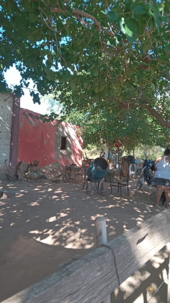 WhatsApp Image 2025 01 21 at 7.29.27 PM