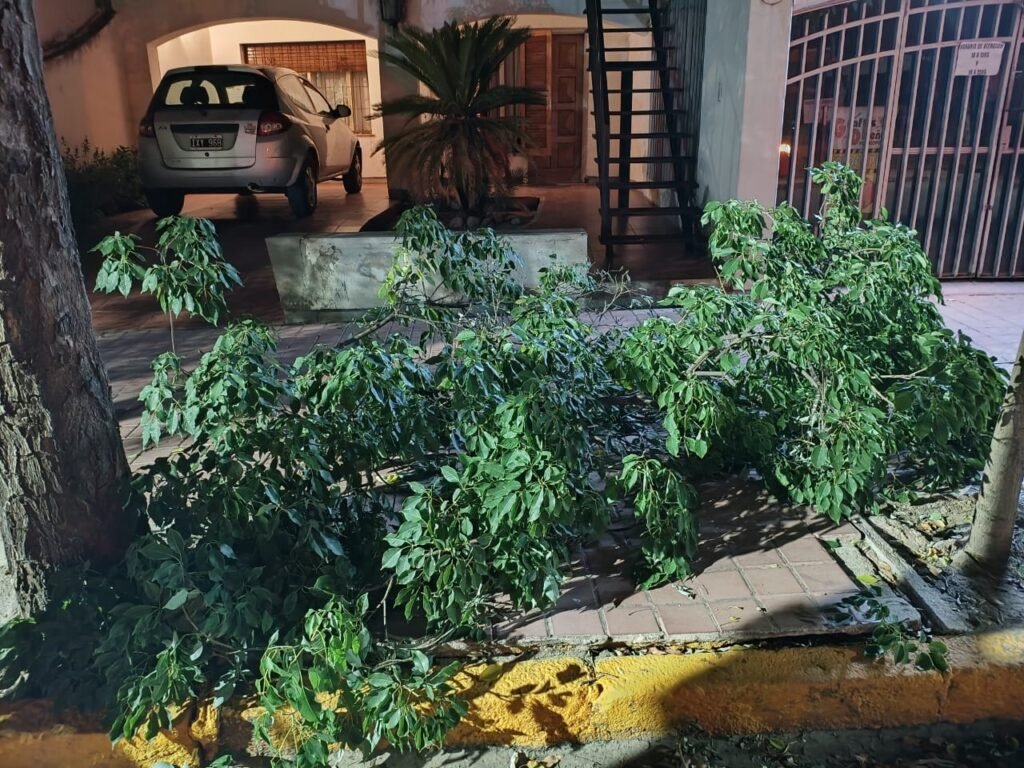 WhatsApp Image 2025 01 24 at 6.37.47 AM