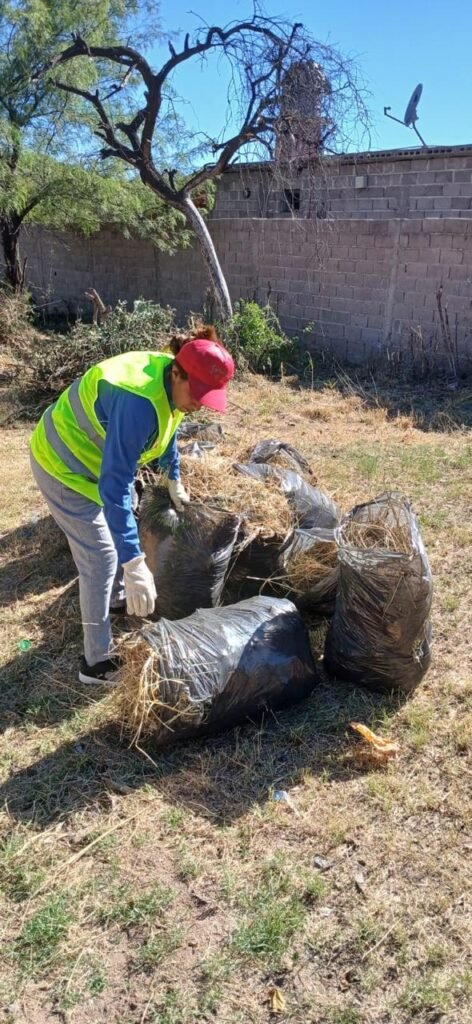 WhatsApp Image 2025 01 24 at 9.19.08 AM