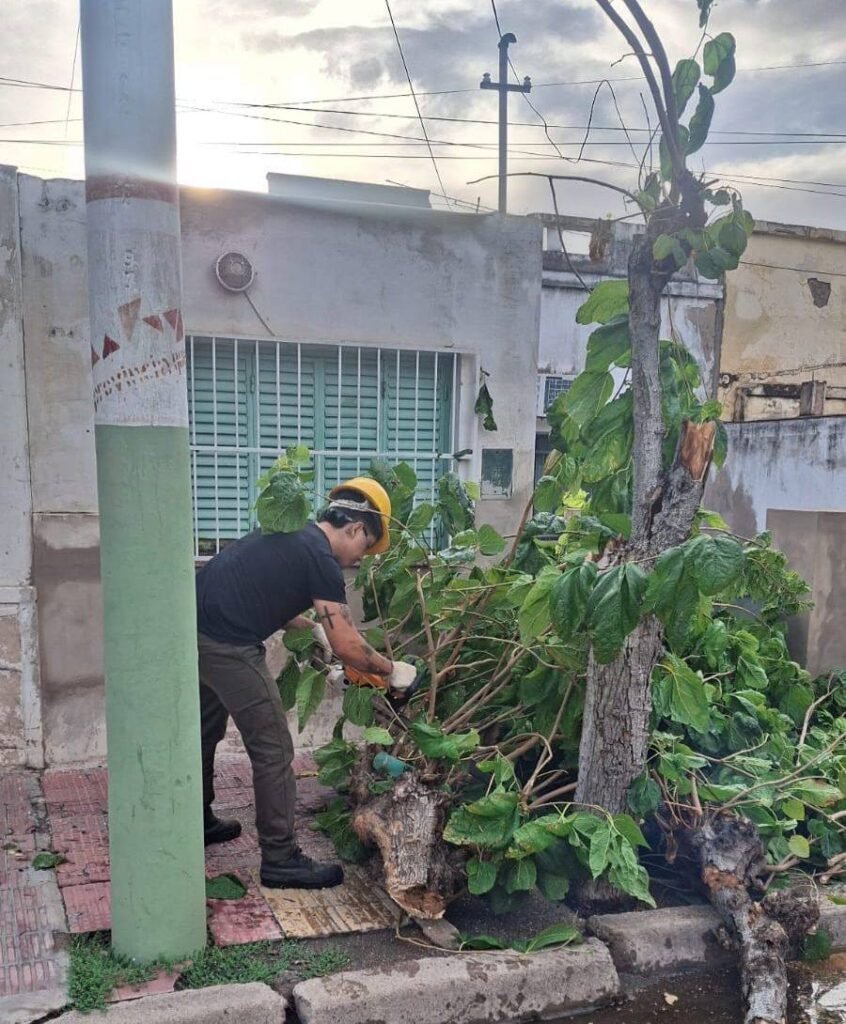 480914335 1213535300773005 4875276978385113842 n 1