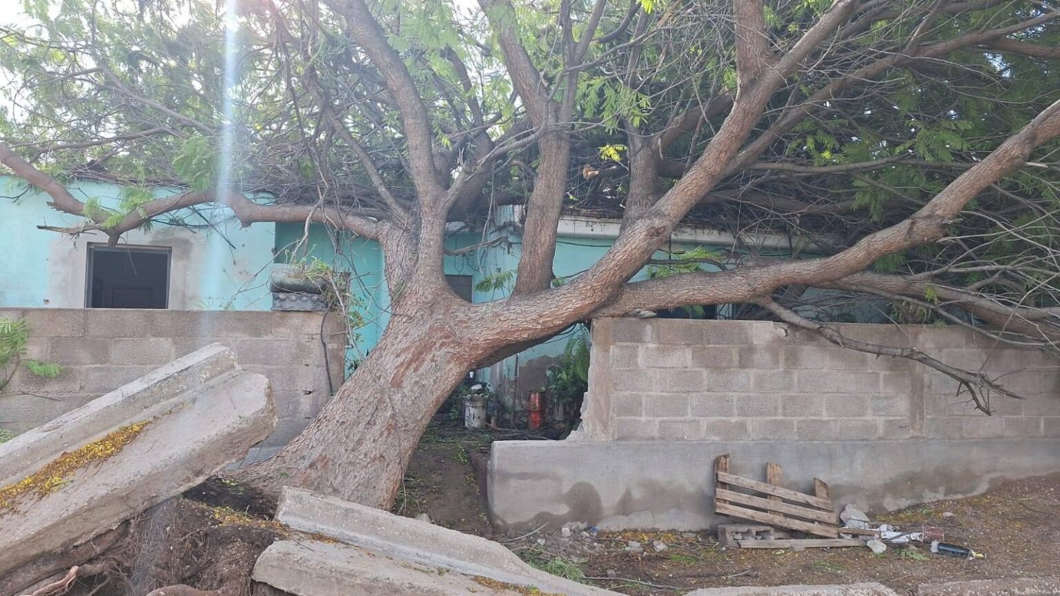 481470260 1150644403735779 4756170578433957766 n