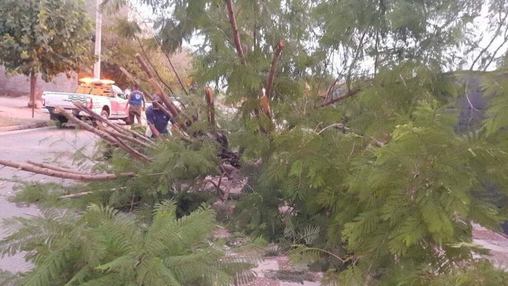 FB IMG 1740050215081