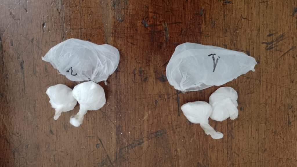 Vicky cocaina gendarmeria