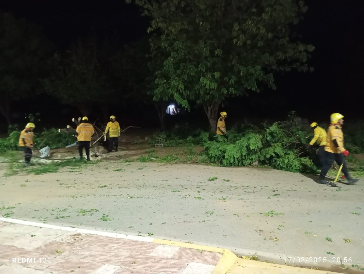 WhatsApp Image 2025 02 18 at 10.25.54 AM