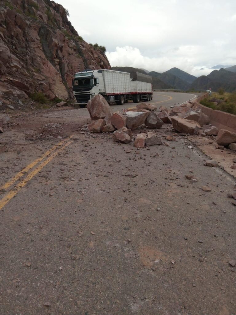 WhatsApp Image 2025 02 18 at 9.38.10 AM