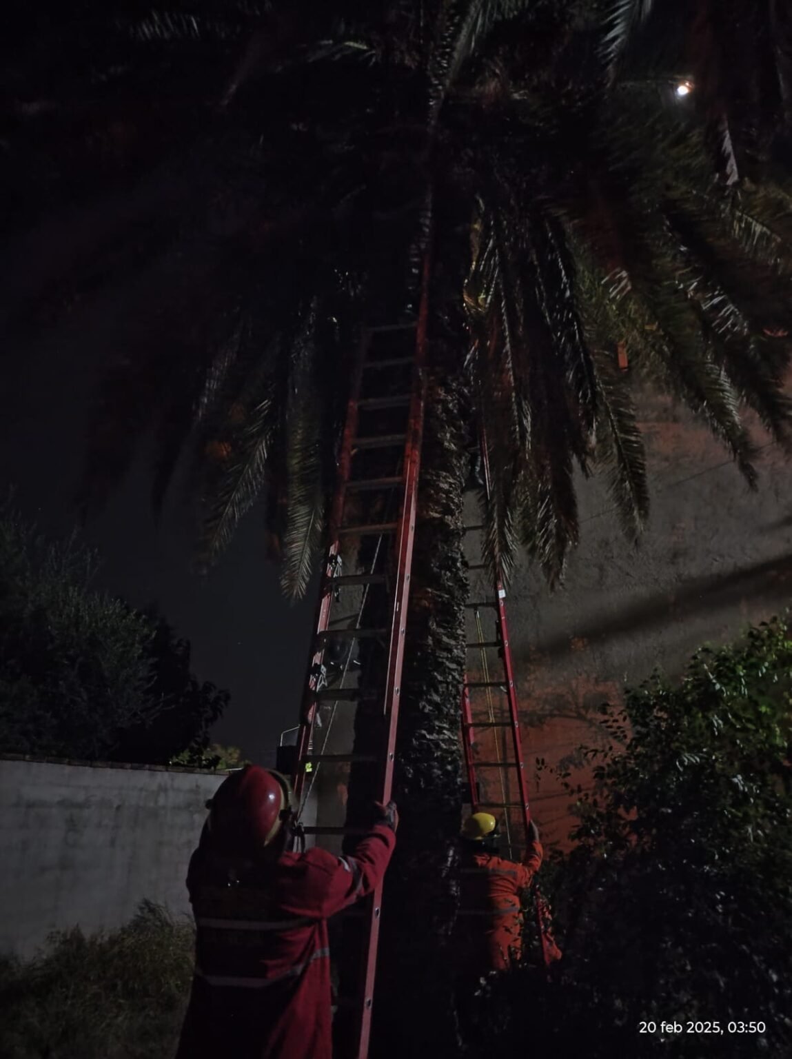 WhatsApp Image 2025 02 20 at 7.47.22 AM