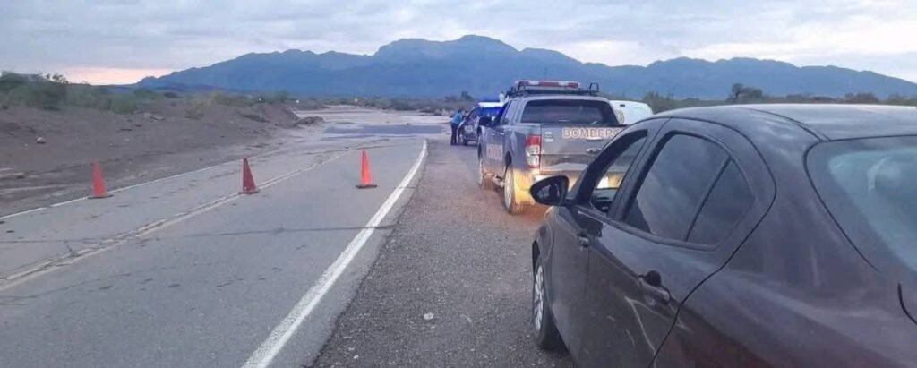 WhatsApp Image 2025 02 25 at 10.15.09 AM