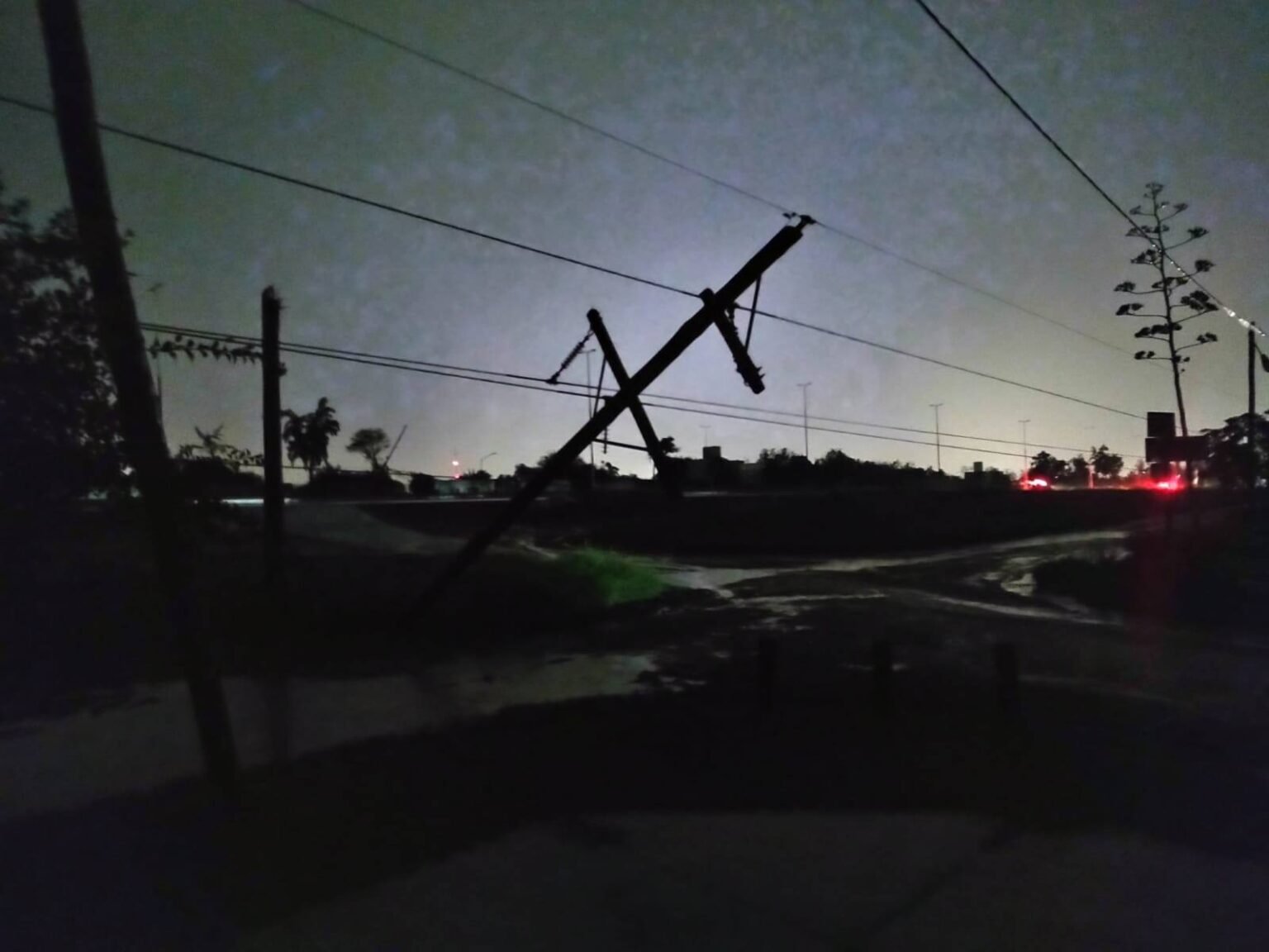 Rioja Bus disminuye su frecuencia debido a la gran cantidad de árboles y postes caídos en la ciudad postes