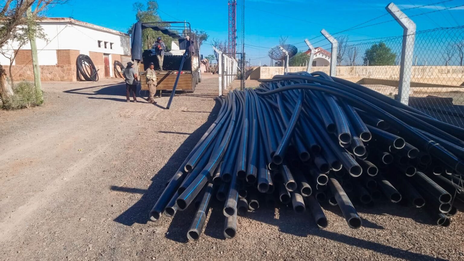 WhatsApp Image 2025 03 20 at 9.52.03 AM