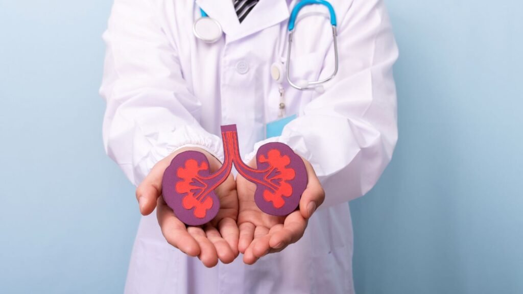 7 consejos para cuidar tus riñones y evitar enfermedades salud de los rinones clinica premium