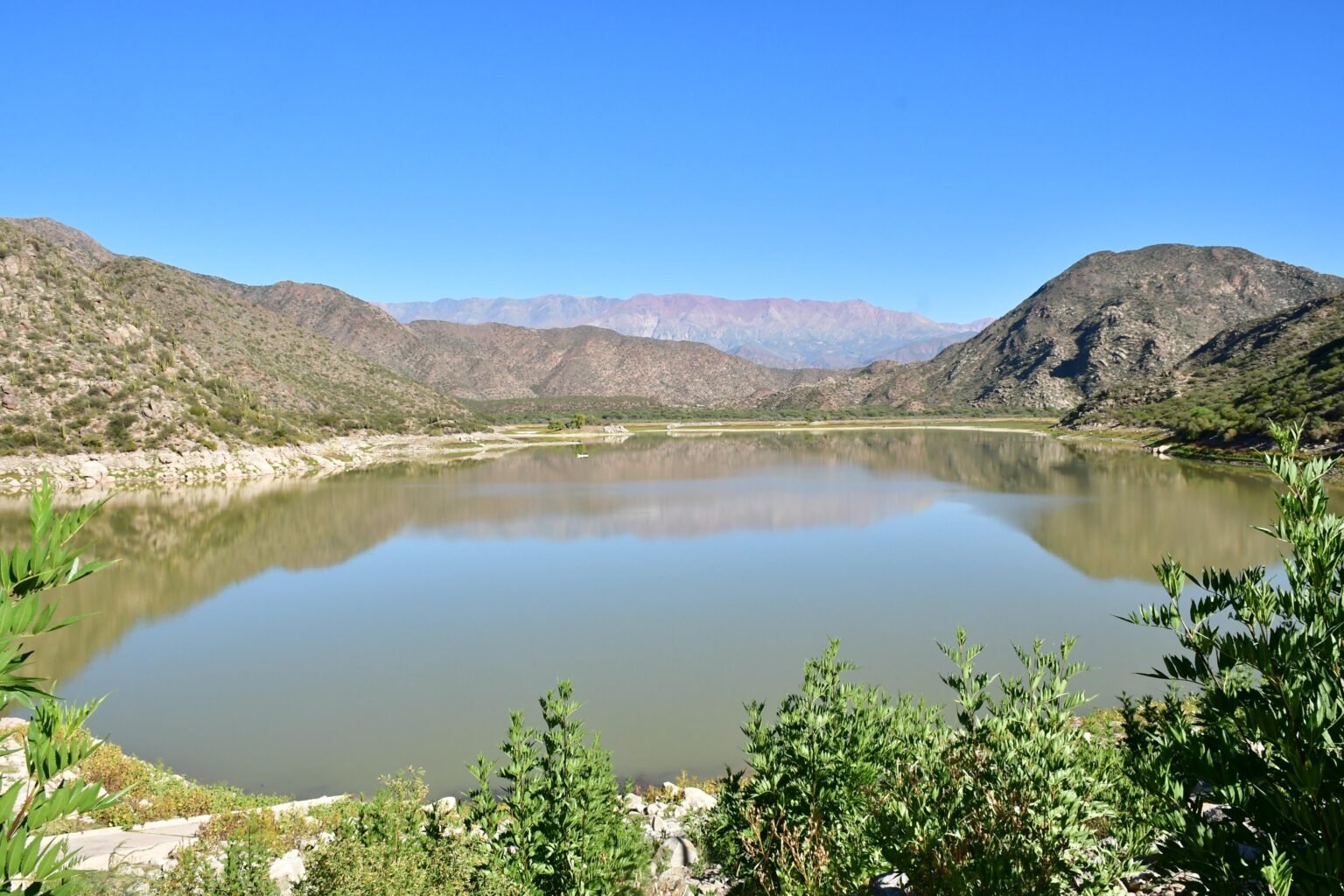 WhatsApp Image 2025 04 02 at 6.42.03 PM