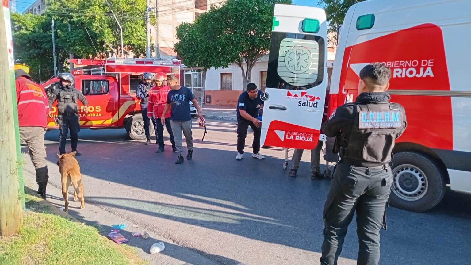 WhatsApp Image 2025 04 15 at 11.33.29 AM