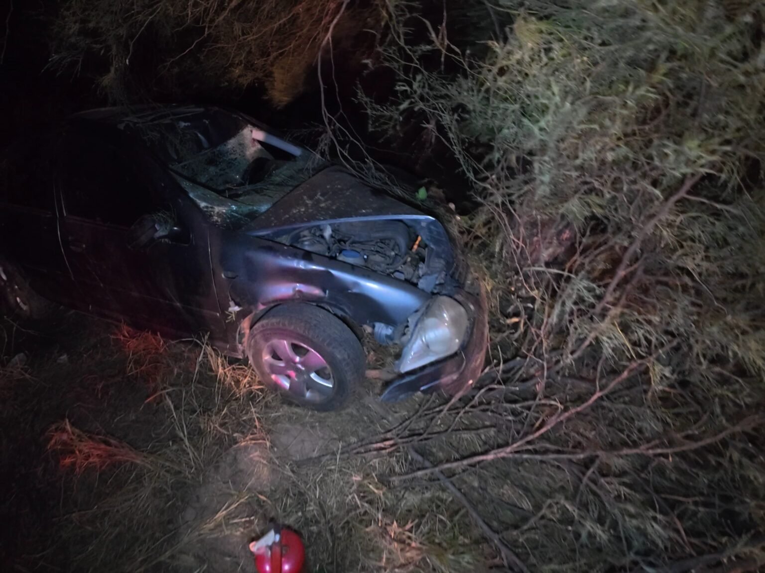 WhatsApp Image 2025 04 16 at 5.36.09 AM