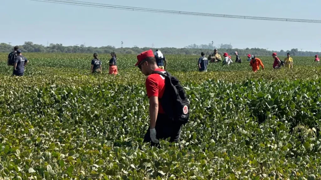 Sin rastros de Lian: piden imputaciones por falsos testimonios lian