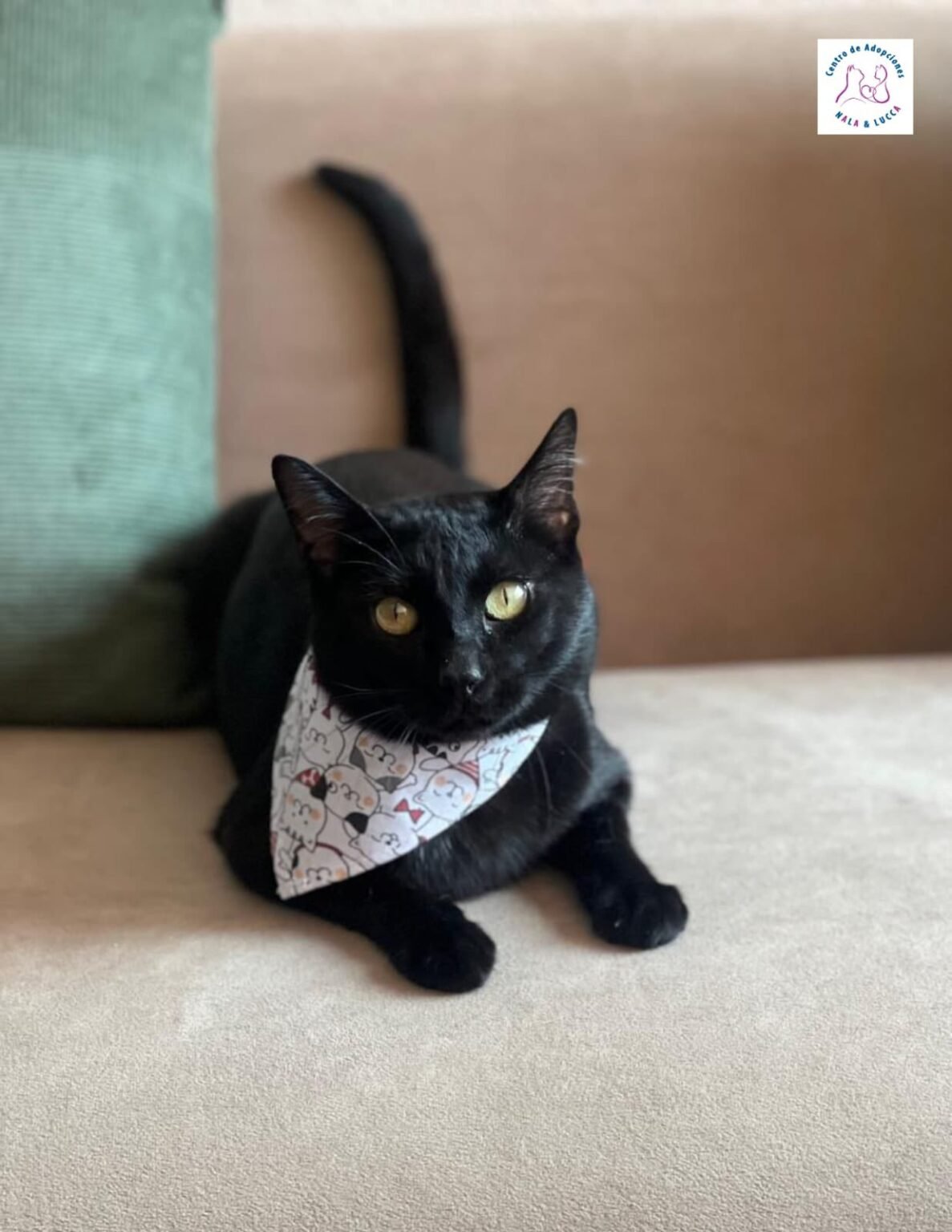 490467503 640389888839696 4150639962681063838 n