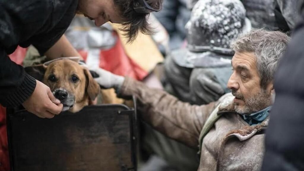 494353962 1234568205343255 5818057219140693490 n