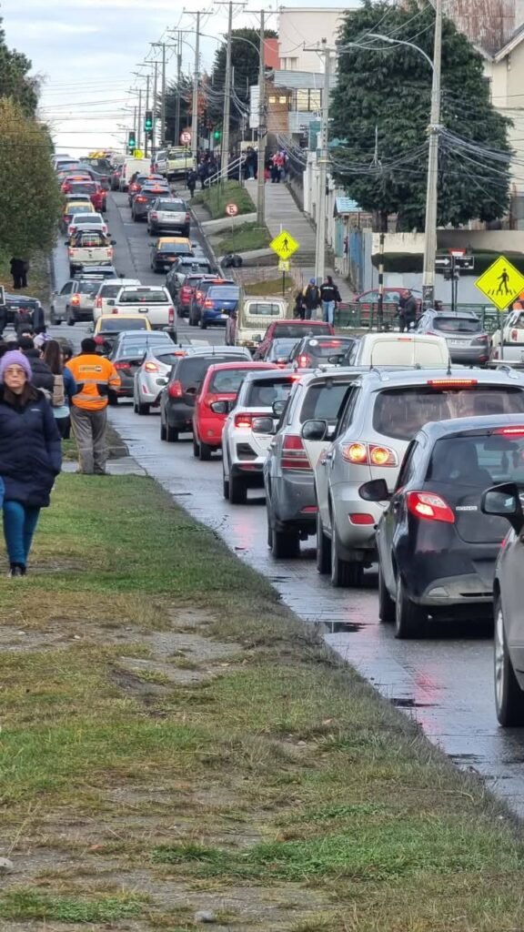 495442106 981268397511876 5696996054697578014 n