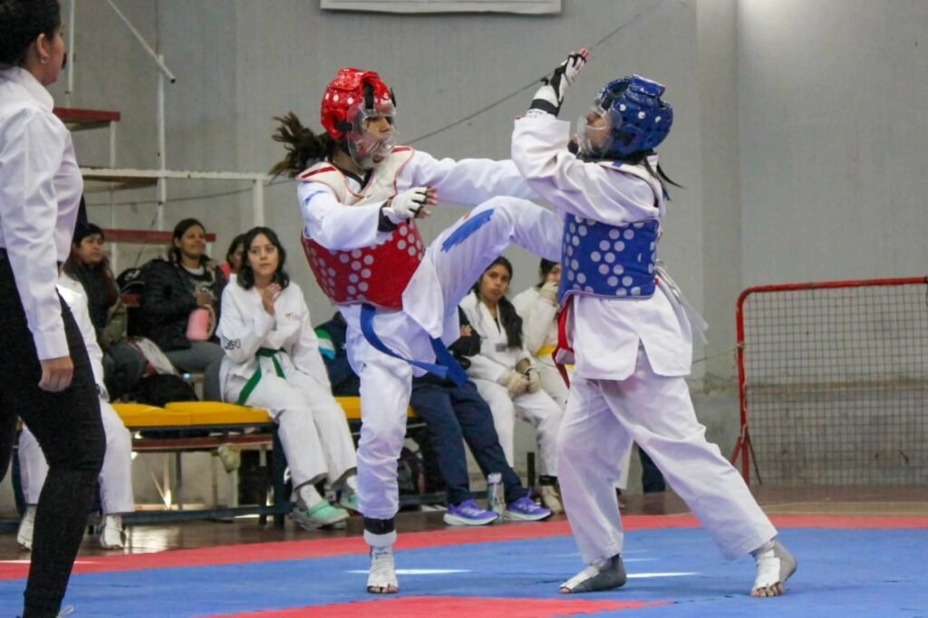 499885159 1111809507643691 879049379124980521 n