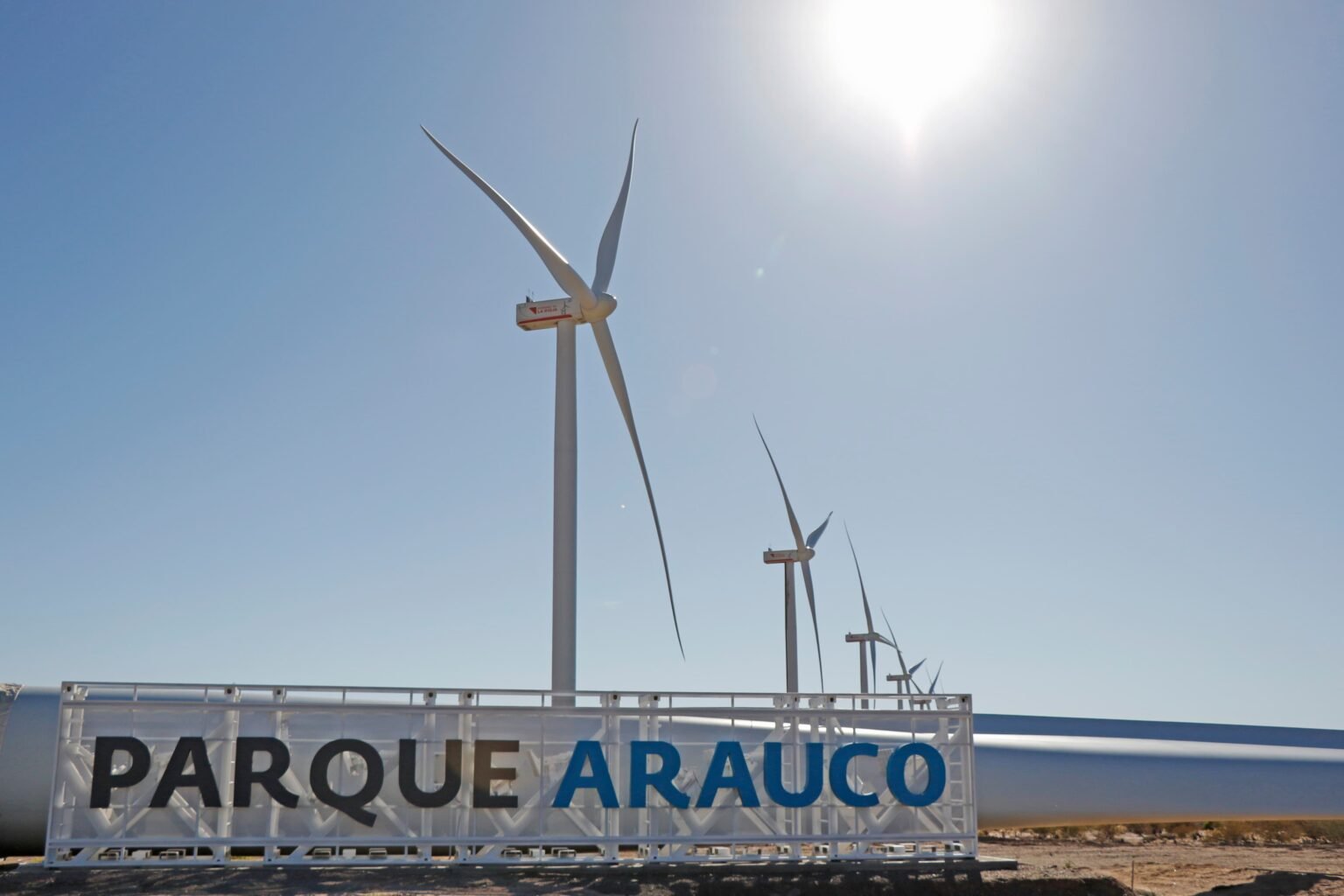 WhatsApp Image 2025 05 15 at 9.01.06 AM