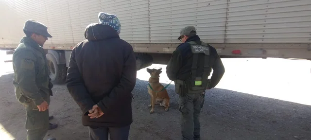 Salta: el perro antinarcóticos «Minos» halló 40 kilos de pasta base en camión proveniente de Bolivia 360 8 2