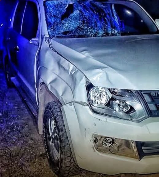 Caballo suelto en la ruta provocó un siniestro vial que por fortuna no dejó heridos 502980624 1010650741266770 431109505521026570 n