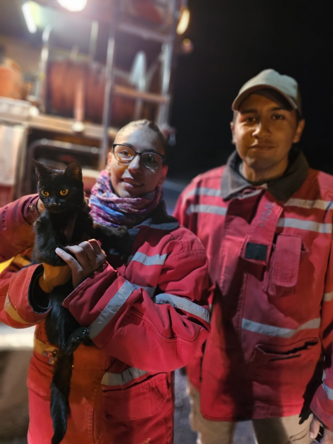 Bomberos rescataron un gatito de un poste de 8 metros de altura WhatsApp Image 2025 06 23 at 10.44.26 PM