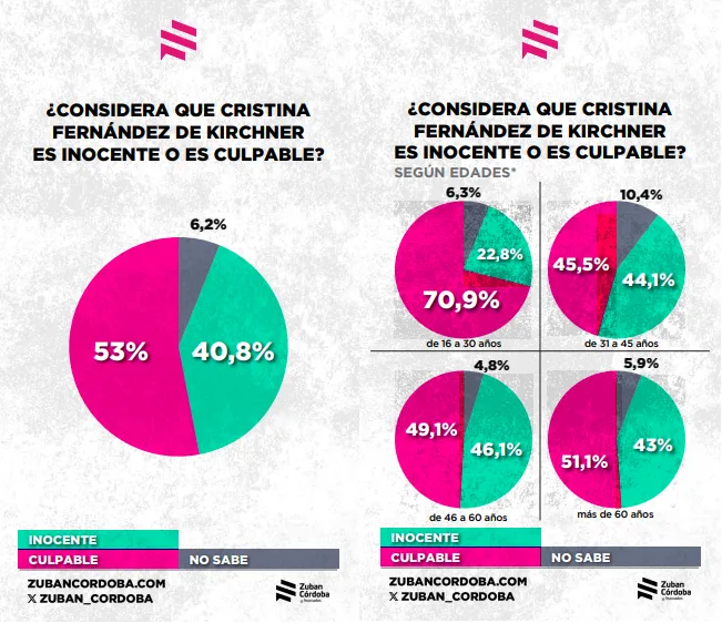Encuesta tras la condena a Cristina: qué piensa realmente la sociedad 3 multimedia.normal.8517fbf8e39864e5.bm9ybWFsLndlYnA