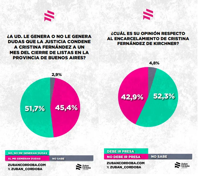 Encuesta tras la condena a Cristina: qué piensa realmente la sociedad 1 multimedia.normal.8ec14a76aef80434.bm9ybWFsLndlYnA