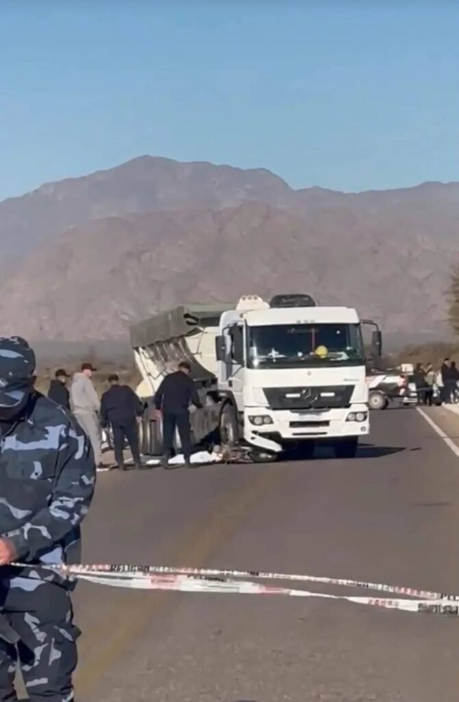 517025301 1029089246063124 1337794698187251914 n