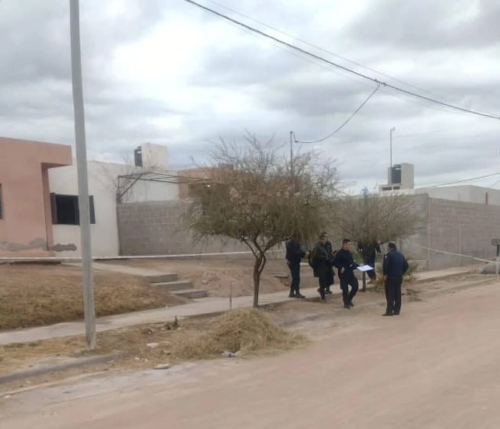 521791309 1040082421630473 1321469786448603477 n