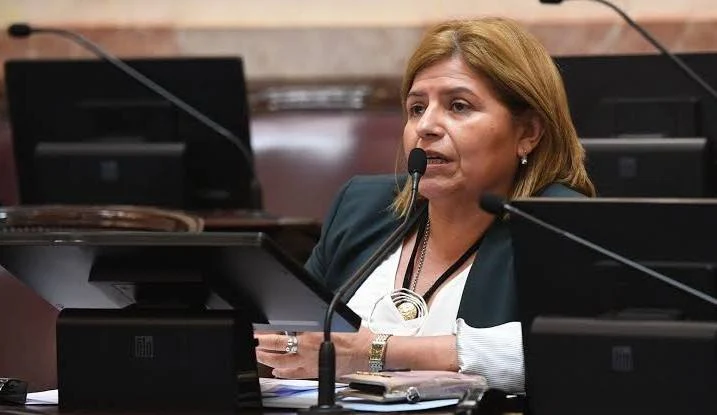 Clara Vega anunció su candidatura a diputada provincial Clara Vega