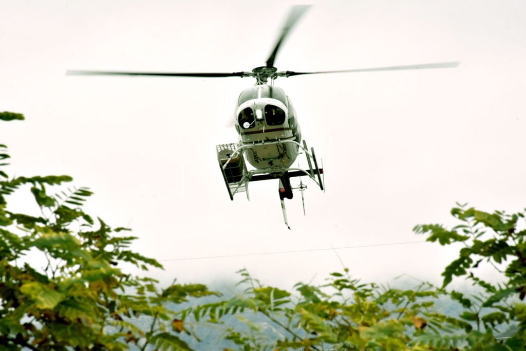 Vicky busqueda josho III