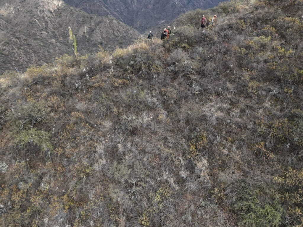 WhatsApp Image 2025 07 28 at 6.05.53 PM