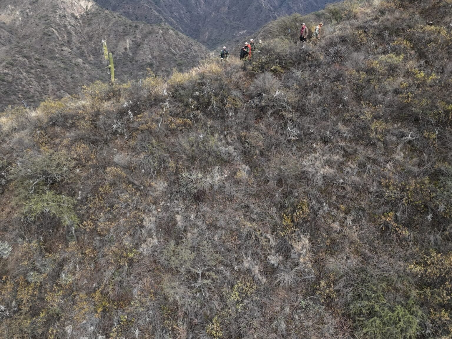 WhatsApp Image 2025 07 28 at 6.05.53 PM